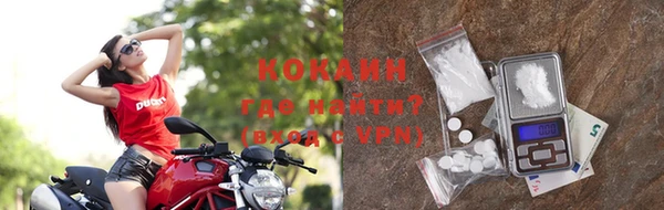 прущие крисы Гусев
