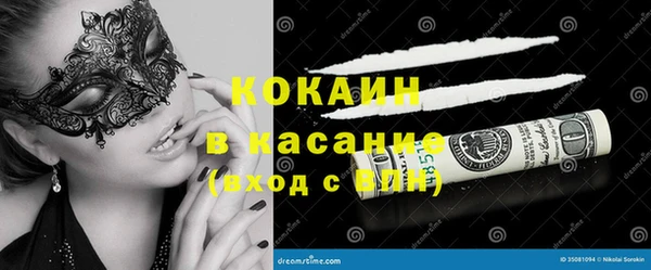 прущие крисы Гусев