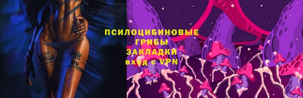 прущие крисы Гусев