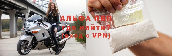 PSILOCYBIN Гусиноозёрск