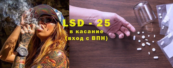 PSILOCYBIN Гусиноозёрск