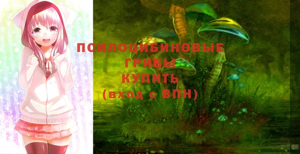 PSILOCYBIN Гусиноозёрск