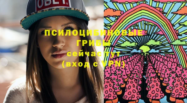 прущие крисы Гусев