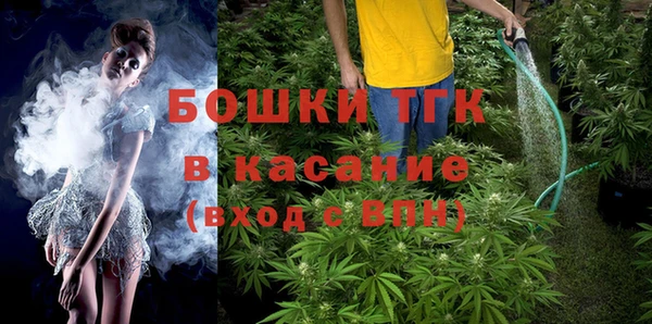 ГАЛЛЮЦИНОГЕННЫЕ ГРИБЫ Вуктыл