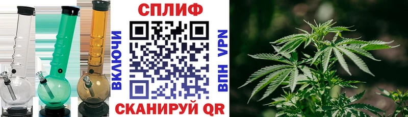 Канабис марихуана Дорогобуж